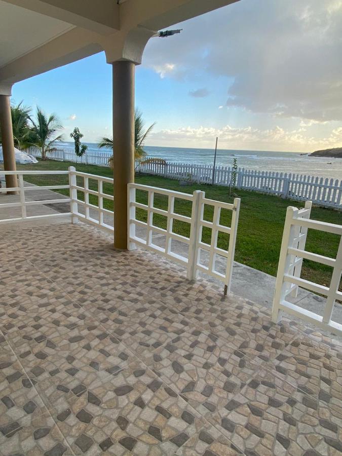 Sealavie Apartments - Grenada St. George's Dış mekan fotoğraf