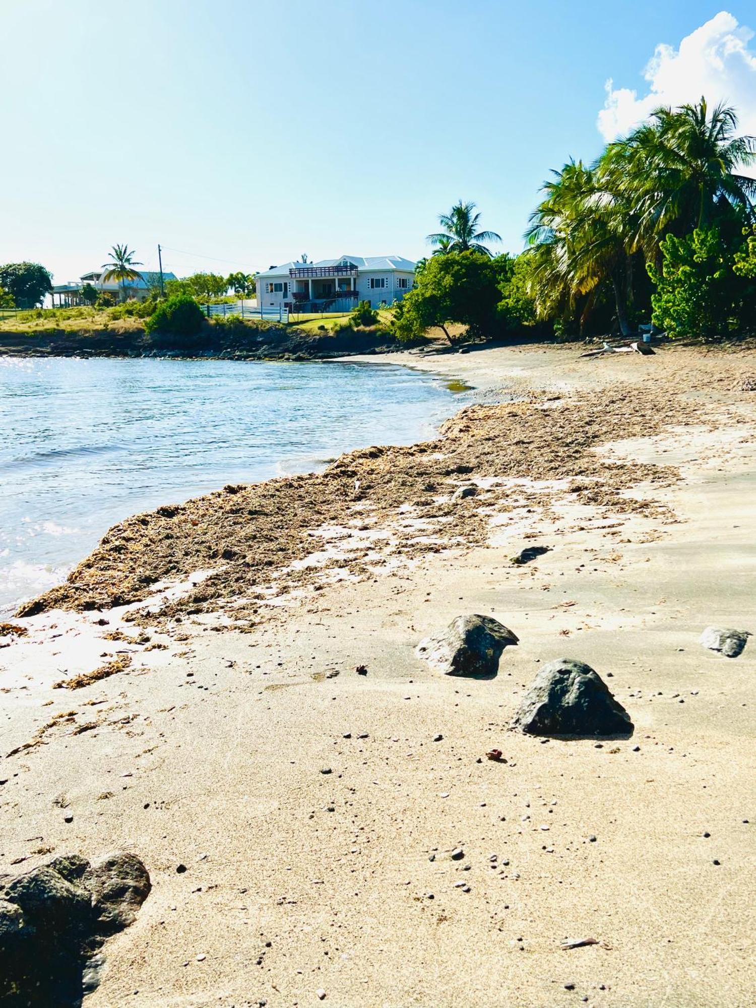 Sealavie Apartments - Grenada St. George's Dış mekan fotoğraf